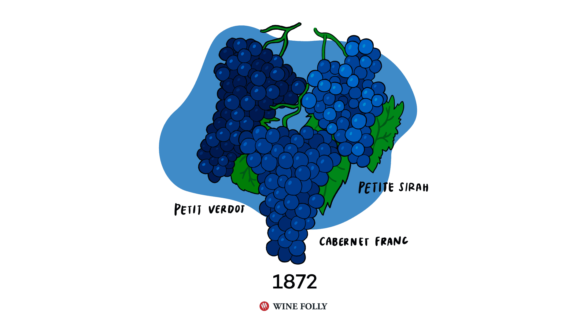 Expansion of Vineyards